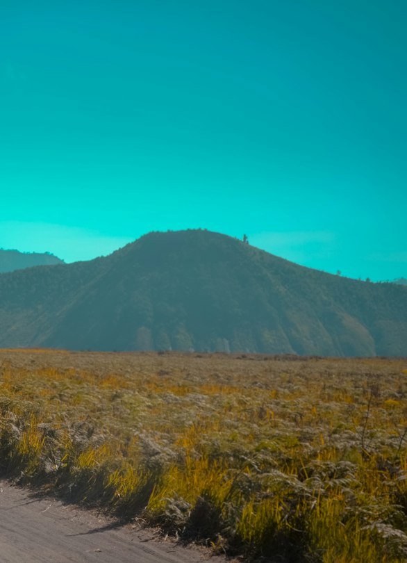Ladakh